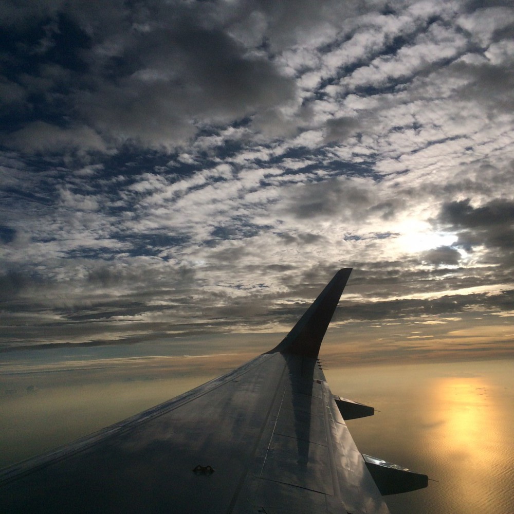 fly