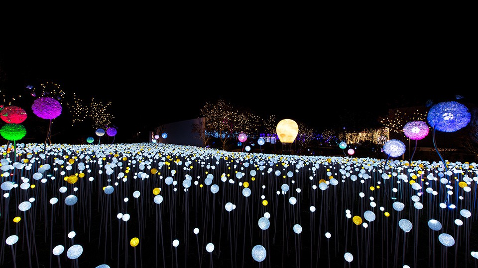 星光庭院