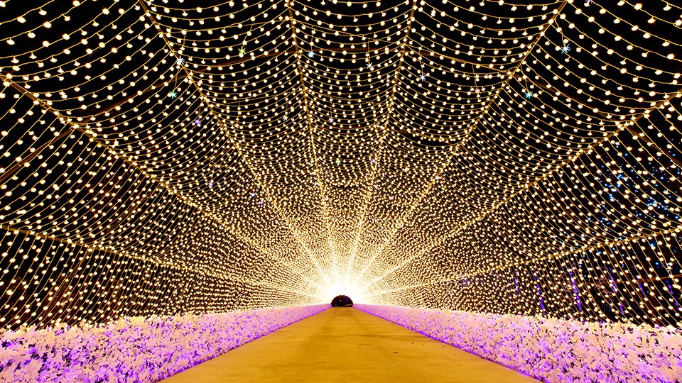 星光庭院