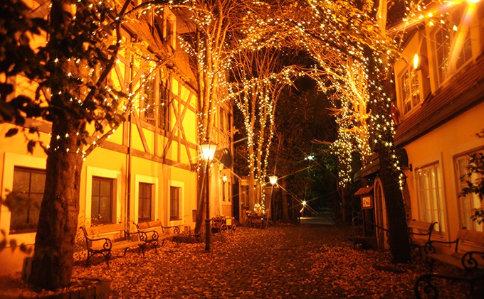 Garten 8