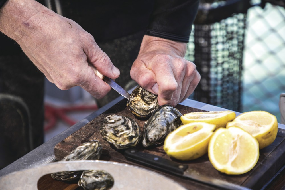 Pure Coffin Bay Oysters_2