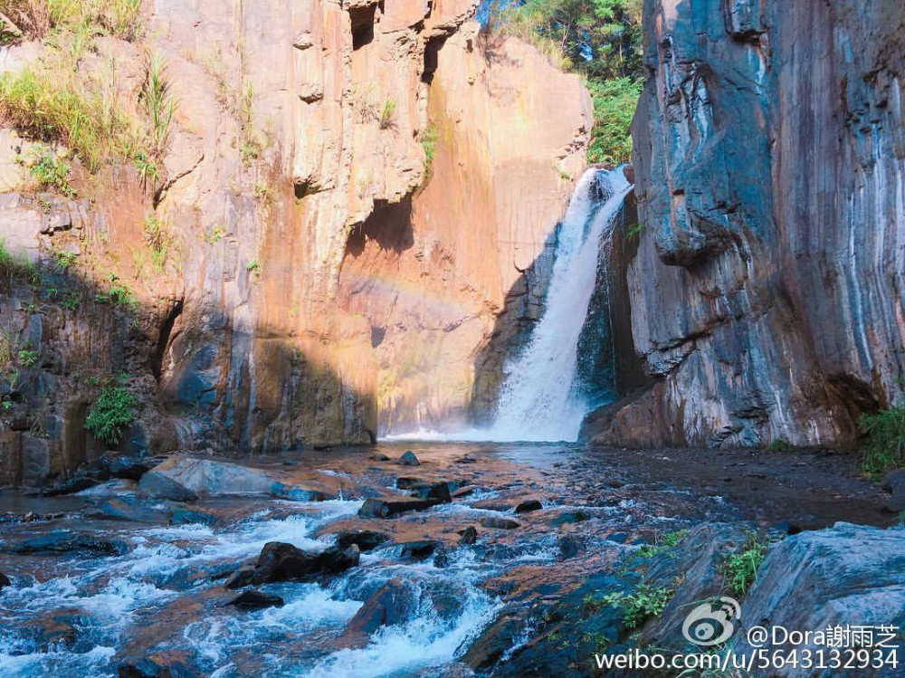 Dora謝雨芝 Weibo
