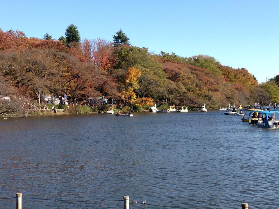 井之頭恩賜公園100年實行委員會facebook @inokashirapark100