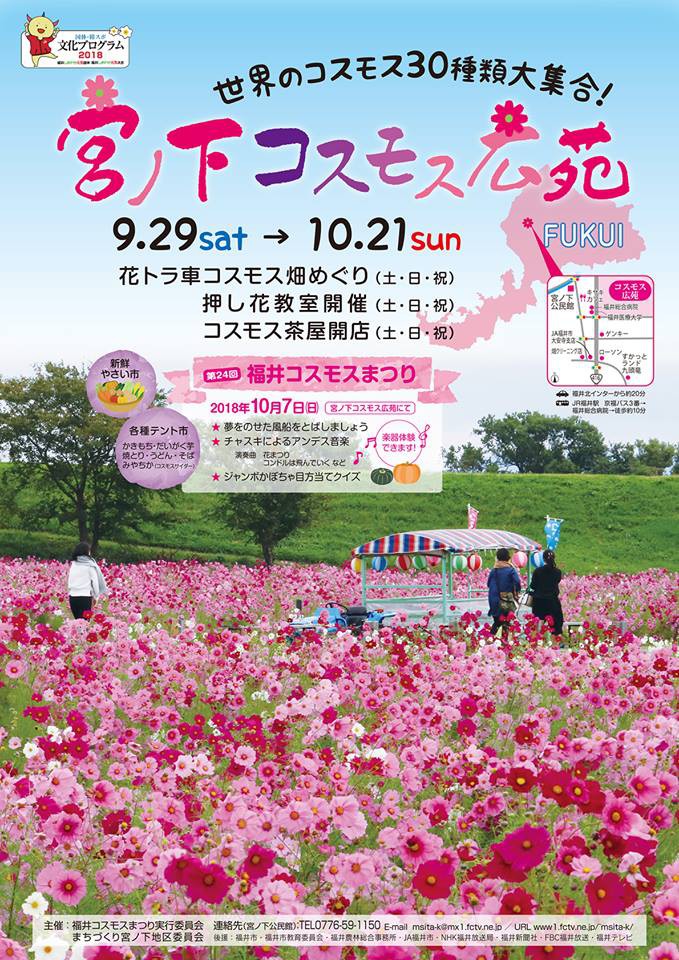 広苑 コスモス 宮ノ下 Facebook