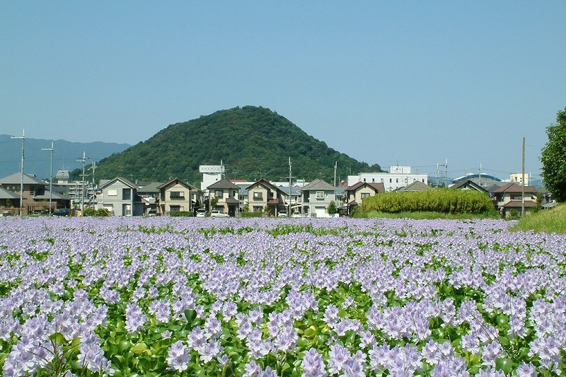 奈良觀光局