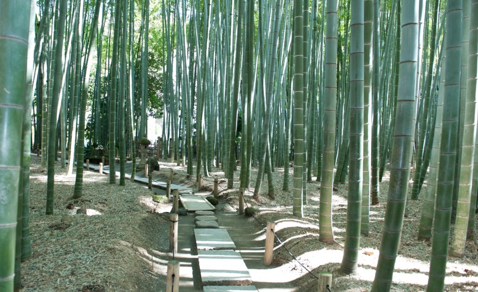 報國寺官網