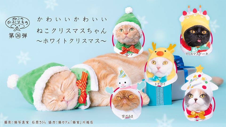 KITAN CLUB