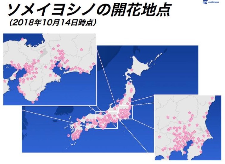 Weathernews