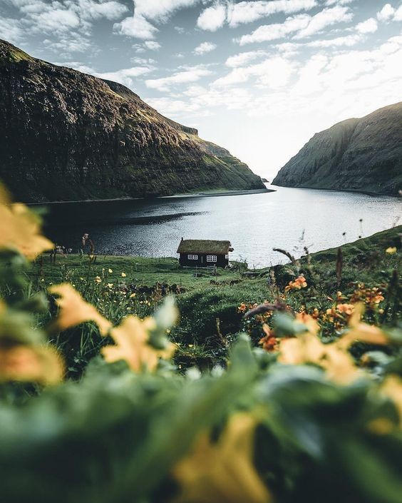 pinterest