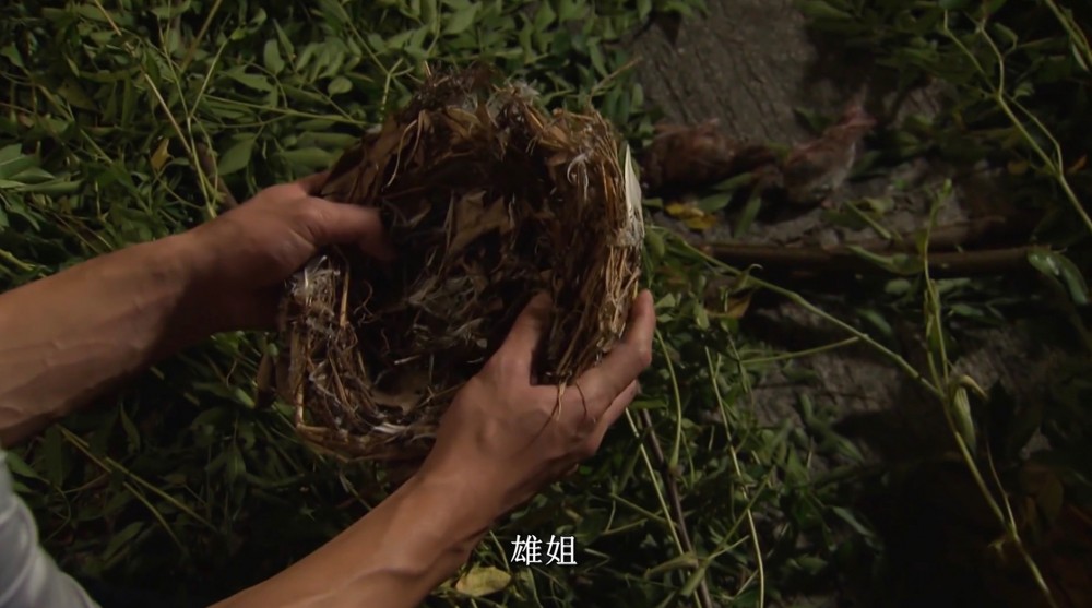《跳躍生命線》