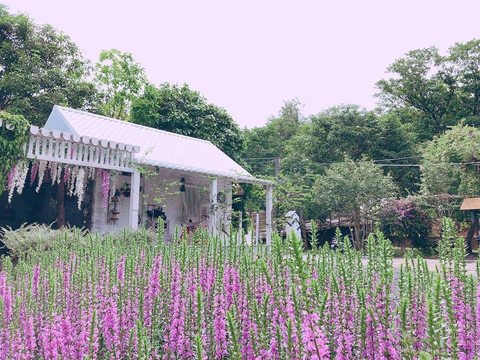 愛麗絲的天空攝影基地 官網