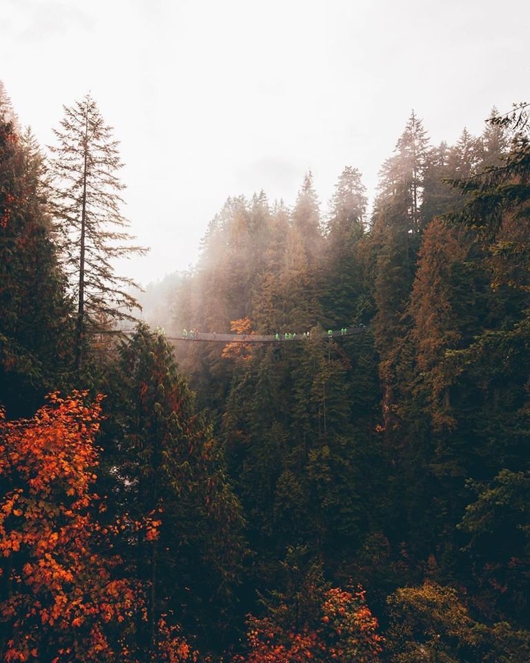 Capilano Suspension Bridge Park 官網