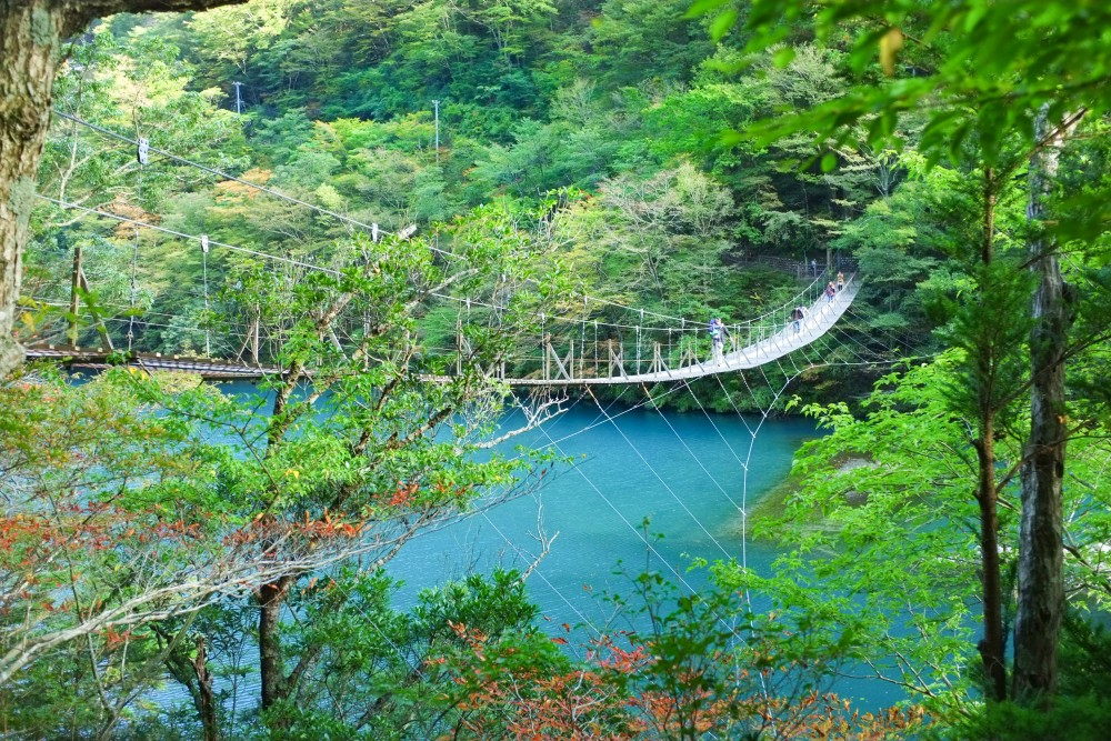 shizuoka mytabi官網