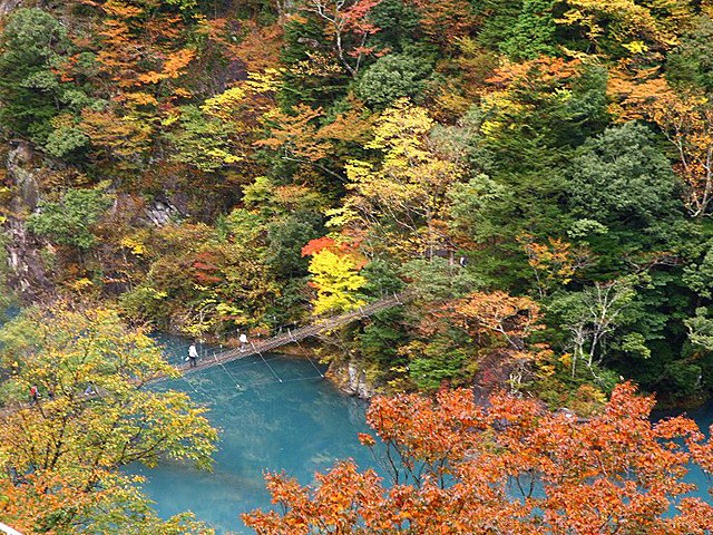 shizuoka mytabi官網