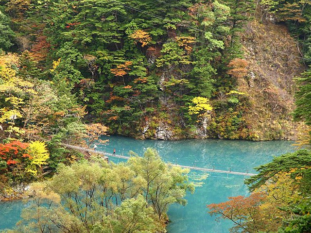shizuoka mytabi官網