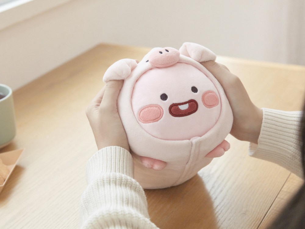 Kakao Friends官網