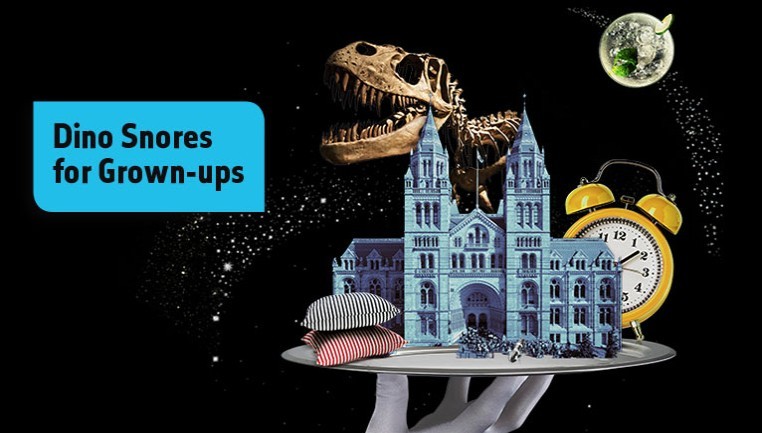 Natural History Museum