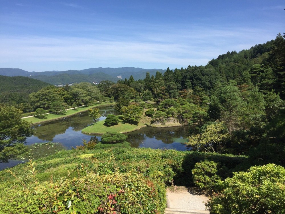 由 TripAdvisor 提供