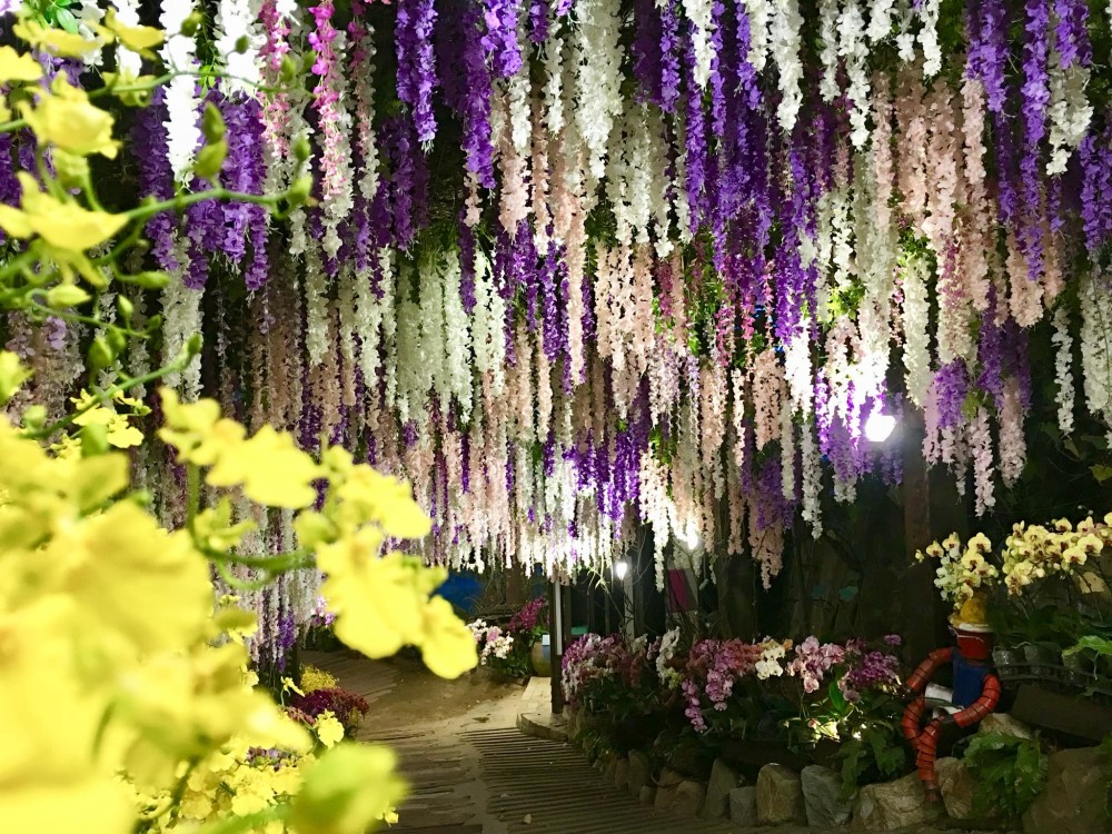 大坑休閒農場 Facebook
