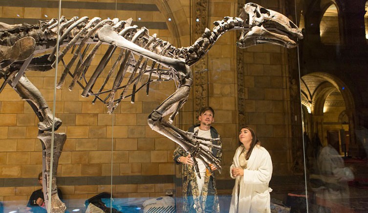 Natural History Museum