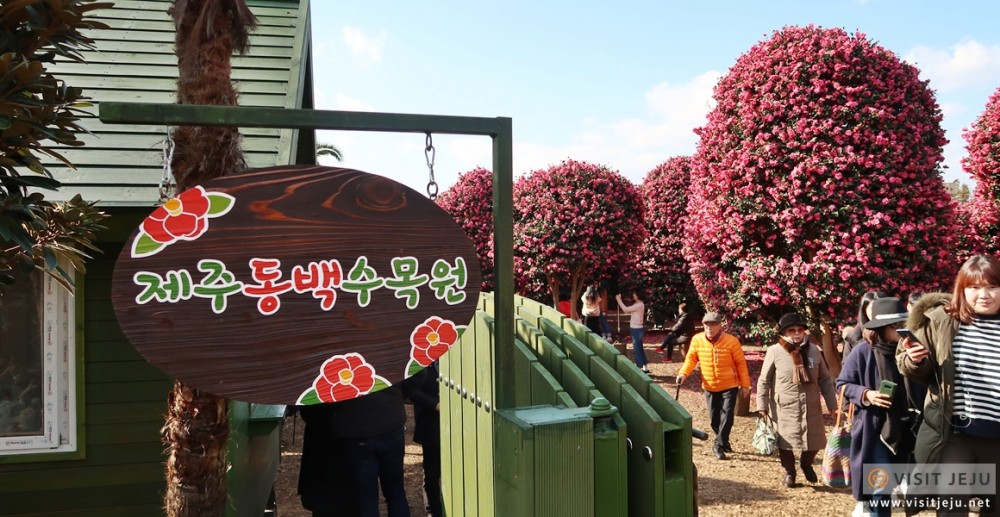 visit jeju 官網